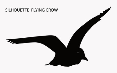Fototapeta premium Silhouette Crow Vector Design with White Background. Flying Crow Vector Design.