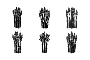 Asparagus (Asparagus officinalis) design, labeled silhouette vector illustration