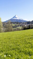 Majestic snowcapped peak rises above vibrant green valley sunlight. AI Generated