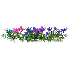 Fototapeta premium collection of Hydrangea Plant isolated on realistic style