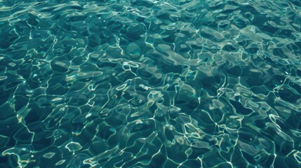 the water 
