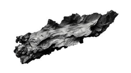 Charcoal Piece of Wood - Abstract Nature Art