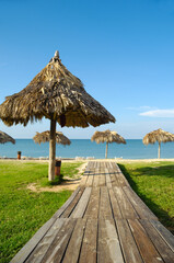 Beach with parasols and sunbeds