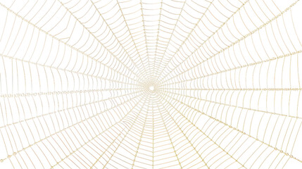 Obraz premium Intricate Spiderweb Pattern Design
