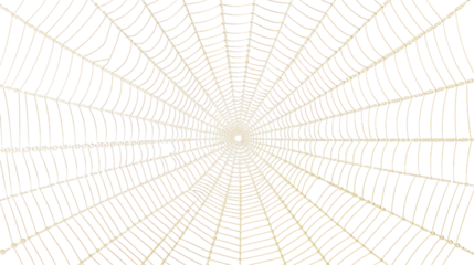 Intricate Spiderweb Pattern Design