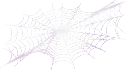 Intricate White Spiderweb Graphic Design