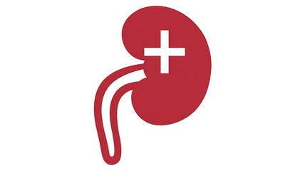Obraz premium Kidney Icons: Visualizing Renal Health and Care