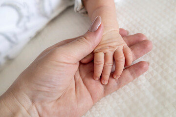 Concept Family - the mother hold a baby little hand. Moms love and care. Tender and little fingers in mom hand