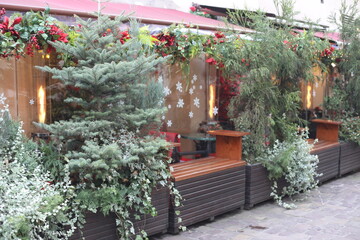 christmas tree in front of a house