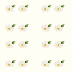 Cherry blossom textile pattern design for fabric and packaging