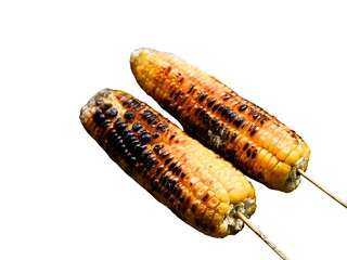 Grilled corn on the cob, smoky, sweet, and delicious treat. Suitable for a classic summertime barbecue, isolated white