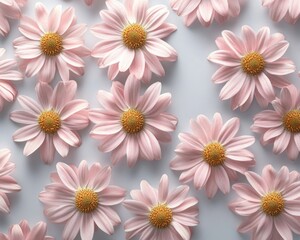 Fototapeta premium Pink daisies arranged asymmetrically on a soft gray background, creating a minimalist and modern aesthetic.