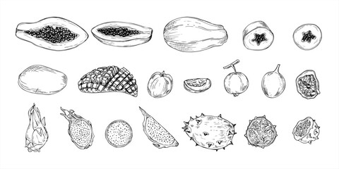 Aromatic tropical fruit mix hand drawn black and white vector illustration. Papaya, kiwano, carambola, maracuja , Pitahaya and mango fruits monochrome clip art. Food elements for summer decor