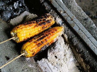 Grilled corn on the cob, smoky, sweet, and delicious treat. Suitable for a classic summertime barbecue
