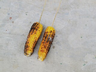Grilled corn on the cob, smoky, sweet, and delicious treat. Suitable for a classic summertime barbecue