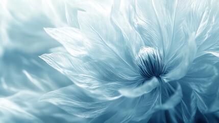 Obraz premium Blue flower close-up, soft background, serenity, design