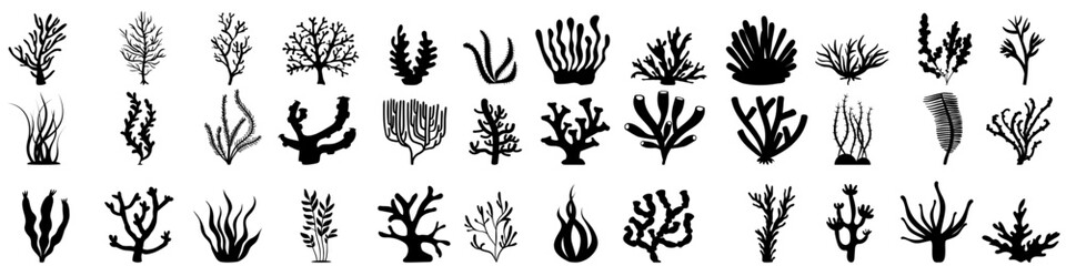 Coral icon vector set. Coral reef illustration sign collection. Algae symbol. Marine life logo.