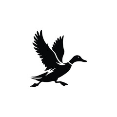 Obraz premium Running duck silhouette isolated on white background.