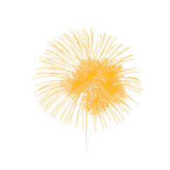 Golden fireworks with glittering sparks and realistic metallic effects, PNG background