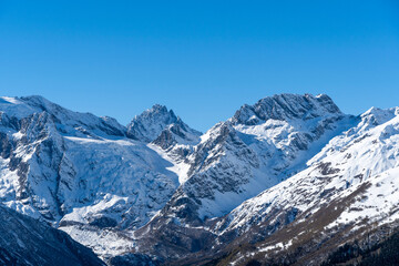 Snowy peaks and glaciers cover giant rocks. Pine and spruce forests grow at foot of mountains. which Majestic mountains against blue sky. Sunny day. Autumn 2024. Karachay-Cherkessia. Dombay.