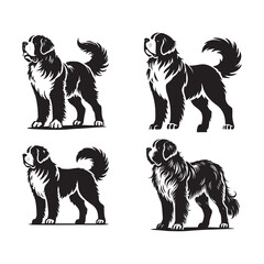 Monochrome Vector Silhouettes of the Saint Bernard Dog Standing Isolated on a White Background