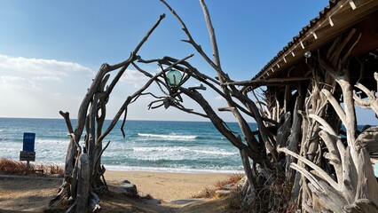 Winter Tree Sky Sea Blue 
