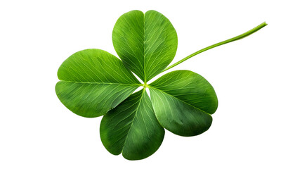 Green clover leaf symbolizing luck and positivity, isolated on a clean white backdrop. Perfect for concepts of good fortune, St. Patrick's Day, and natural beauty. Isolated on white background