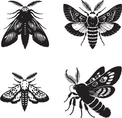 High-Quality Monochrome Vector Silhouettes of the Salt Marsh Moth Isolated on a White Background
