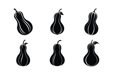 Butternut Squash (Cucurbita moschata) design, labeled silhouette vector illustration