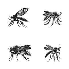 Detailed Monochrome Vector Silhouettes of the Sandfly Isolated on a White Background