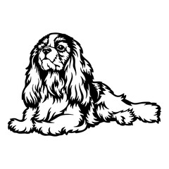Spaniel Dog Breed - Pet Vector Cut file, Dog Silhouette Stencil - Cricut file