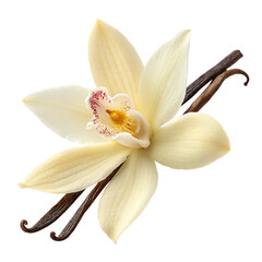 vanilla flower