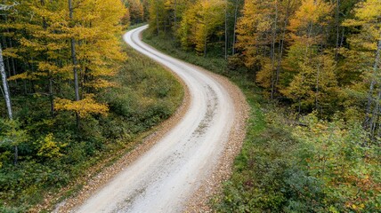 Naklejka premium Scenic Winding Dirt Road Through Vibrant Autumn Forest with Colorful Foliage and Peaceful Nature Surroundings