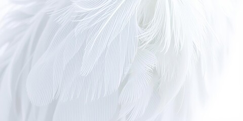 Obraz premium Soft and delicate blue fluffy feather isolated on a white background, elegant, beautiful, gentle