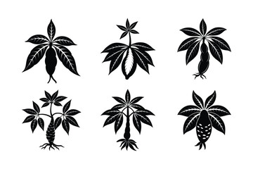 Obraz premium Cassava (Manihot esculenta) design, labeled silhouette vector illustration