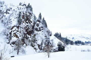 雪国イメージ（新潟県）