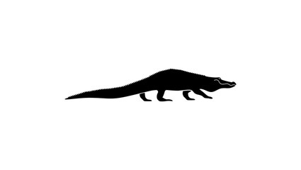 Florida alligator , black isolated silhouette