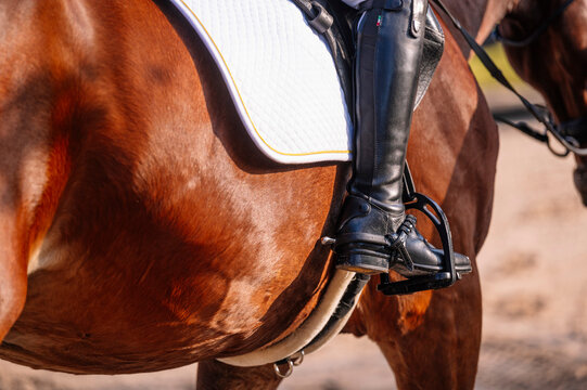 Teenager in classical dressage gear on horseback