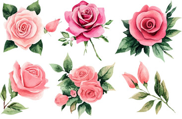Fototapeta premium seamless pattern with roses