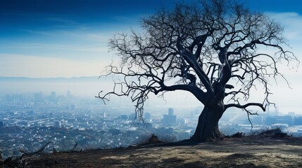 Obraz premium Lonely tree silhouetted against a hazy cityscape at dusk. Generative AI