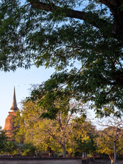 Hidden Gem: Sukhothai Chedi Seen Through Foliage