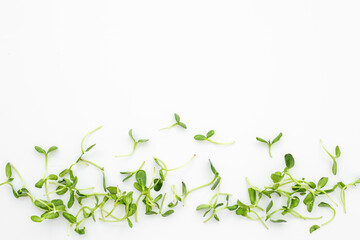 Different kind of microgreen on white background. Mix of micro green shoots. Healthy food