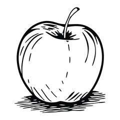 Apple Draw Silhouette Design Vector