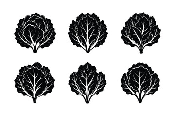 Collard Greens (Brassica oleracea var. viridis) design, labeled silhouette vector illustration
