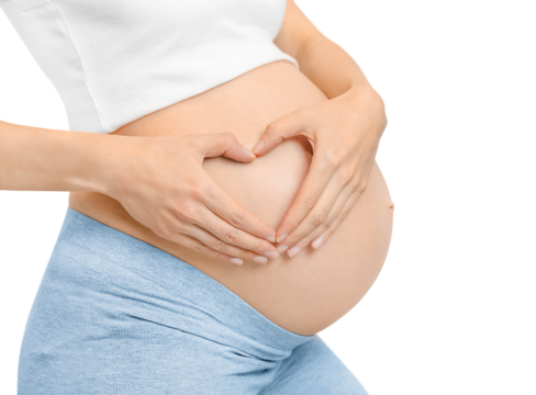 pregnant woman folded her hands in a heart shape near her belly. concept of love, care and family. isolated on white background - Powered by Adobe