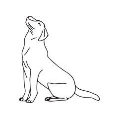 Obraz premium Dog sitting and looking up, minimalist line art illustration