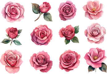 Obraz premium seamless pattern with roses