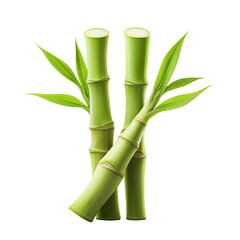 Obraz premium bamboo stems isolated on a transparent background. handful fresh bamboo shoots, cutout png