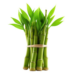 Fototapeta premium a bundle of fresh bamboo sprouts isolated on a transparent background. handful young bamboo shoots, cutout png