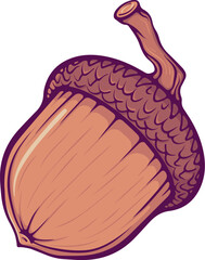 One acorn oak tree nut with a cap close-up. Brown autumn design element. Simple vector color illustration in hand drawn style isolated on white.